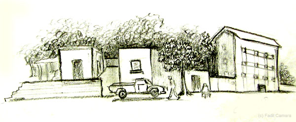 DSCN9647